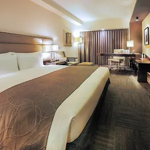 https://ibis-styles-sapporo.hokkaidohotelsjapan.com