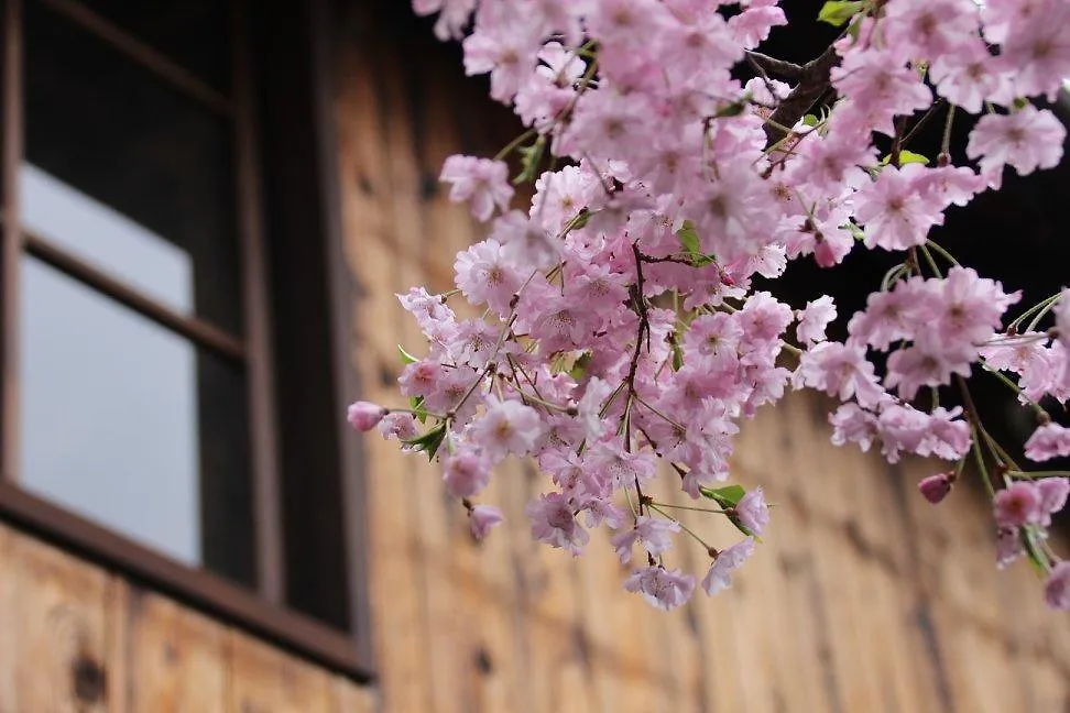 Haruya Umekoji Pansiyon Kyoto 2*,  Japonya